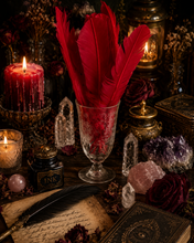 Load image into Gallery viewer, Feather Quills (Spell Writing, Smudging) 8 Varieties to Choose From