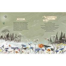 Load image into Gallery viewer, The Green Witch Illustrated