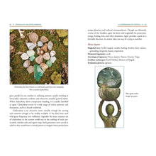 Load image into Gallery viewer, Stones of the Goddess: Crystals for the Divine Feminine (Goddess Work, Crystals, Reference)