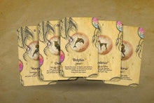 Load image into Gallery viewer, Animal Tarot (Divination, Fortune Telling)