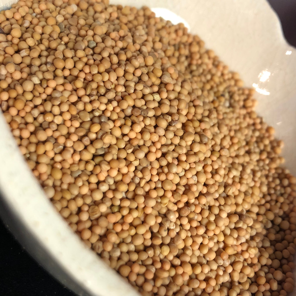 Yellow Mustard Seed (Luck, Love, Money, Faith, Protection