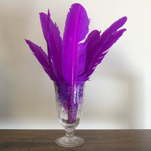 Load image into Gallery viewer, Feather Quills (Spell Writing, Smudging) 8 Varieties to Choose From