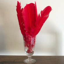 Load image into Gallery viewer, Feather Quills (Spell Writing, Smudging) 8 Varieties to Choose From