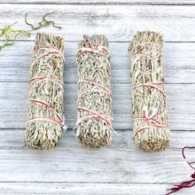 Load image into Gallery viewer, White Sage Alternatives (39 Varieties to Choose From) Approx. 4"
