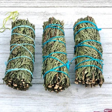 Load image into Gallery viewer, White Sage Alternatives (39 Varieties to Choose From) Approx. 4"