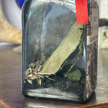 Load image into Gallery viewer, Deadly Nightshade Banishing Spell Jar (Removal, Banishment, Protection)
