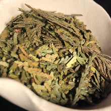 Load image into Gallery viewer, Cedar Tips (Cleansing, Consecration, Protection, Long Life)

