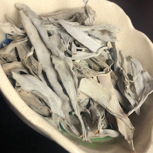California White Sage Leaves and Pieces (Wisdom, Good Luck, Cleansing, Redemption, Blessing)