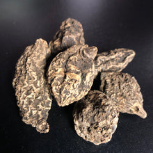 Load image into Gallery viewer, High John Conqueror Root, Large (Health, Wealth, Love, Luck, Success)
