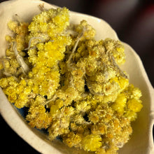 Load image into Gallery viewer, Heliochrysum Flowers, Everlasting Flowers (Acceptance, Forgiveness, Emotional Healing)
