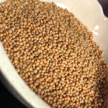 Load image into Gallery viewer, Yellow Mustard Seed (Luck, Love, Money, Faith, Protection)
