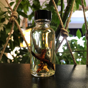Mandrake Herbal Oil (Protection, Fertility, Money, Love, Health)