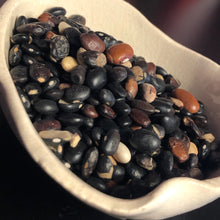Load image into Gallery viewer, Beans (Wisdom, Love, Healing, Money, Wishes)
