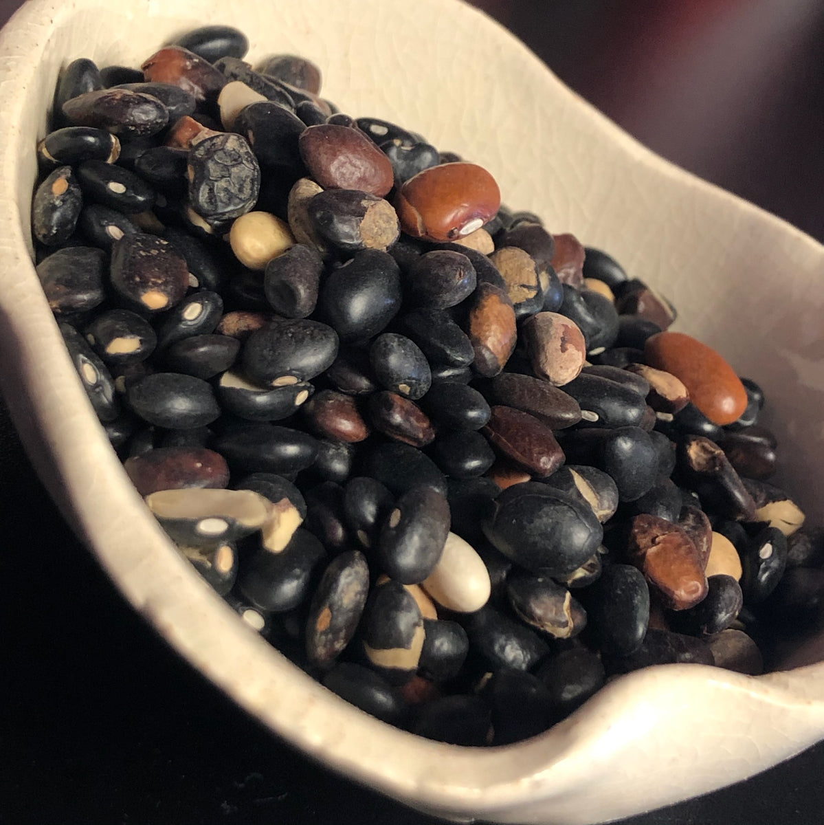 Beans (Wisdom, Love, Healing, Money, Wishes) – The Divine Key by ...