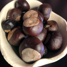 Load image into Gallery viewer, Buckeyes (Money, Gambling, Luck, Healing)
