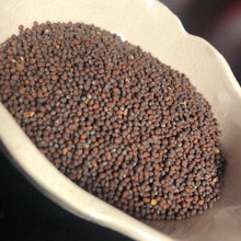 Load image into Gallery viewer, Brown Mustard Seed (Confusion, Hex, Cause Trouble)
