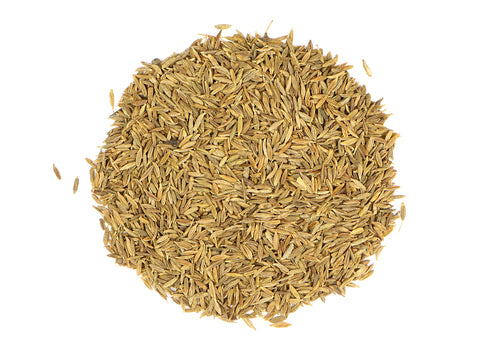 Cumin Herb (Healing, Protection, Fidelity)