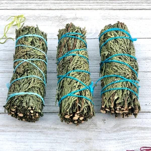 White Sage Alternatives (39 Varieties to Choose From) Approx. 4"