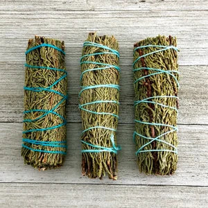 White Sage Alternatives (39 Varieties to Choose From) Approx. 4"