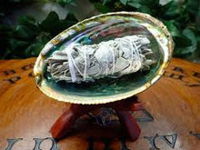 Load image into Gallery viewer, Abalone Smudging Shell
